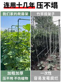 Garden Plant Support Stakes for Climbing Vines, Tomatoes, Cucumbers, and Beans