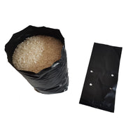 Thickened PE Plant Nursery Bags for Citrus Fruit Tree Seedlings and Bonsai, 100-Pack