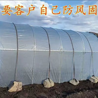 Portable Greenhouse for Plants, Walk-in Hot House with Reinforced Cover for Outdoor Garden