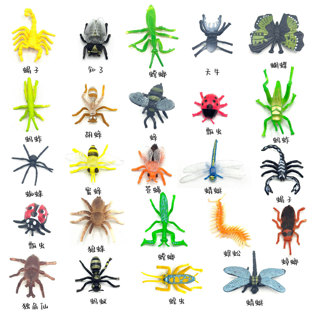 24-Piece Realistic Insect Animal Model Set for Education and Decoration