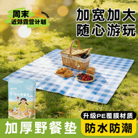 Disposable PE Laminated Picnic Mat for Outdoor Camping Beach Festivals - Waterproof, Moisture-proof, Oil-proof