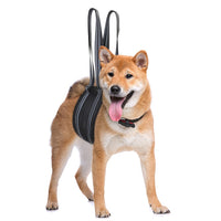 Pet Dog Rear Leg Support Harness for Senior Dogs and Post-Surgery Recovery