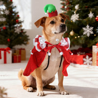 Pet Christmas Wizard Cloak and Hat Set for Cats and Dogs - Festive Lace Shawl Costume for Photos