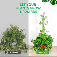 Bendable Coir Moss Pole for Climbing Plants