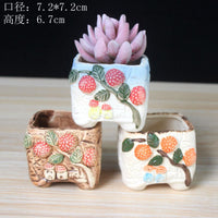 Hand-Painted Ceramic Succulent Planter Pots for Indoor Plants