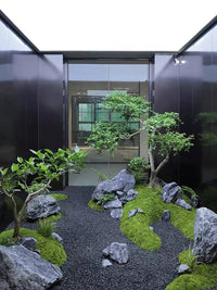 Natural Black Mountain Stone for Japanese Zen Garden Landscaping and Micro-Landscapes