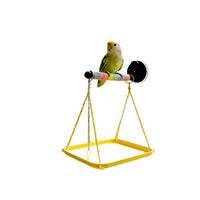 Parrot Suction Cup Perch with Waste Tray and Anti-Flight Chain for Birds