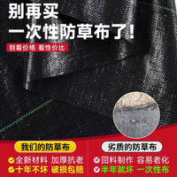 Heavy-Duty Weed Barrier Fabric for Orchards & Greenhouses - Permeable & UV Resistant Ground Cover