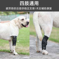 Pet Leg Rehabilitation Support Brace for Injured Disabled Senior Dogs