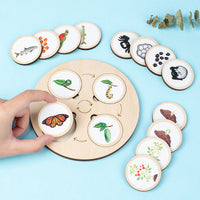 Montessori Wooden Life Cycle Puzzle Educational Toy for Kids
