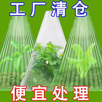 Plant Seedling Protection Cover for Greenhouse Vegetable Melon Seedlings - Warmth, Frost Protection, Insect Prevention, and Nursery Cultivation
