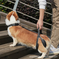 Dog Rear Leg Support Harness for Injured or Disabled Pets