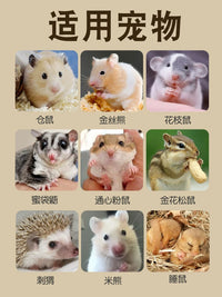 Luxury Large Acrylic Transparent Two-Story Hamster Cage Villa for Golden Hamsters