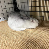 Sisal Cat Scratching Mat for Cage Ladder Platforms, Wear-Resistant & Non-Shedding