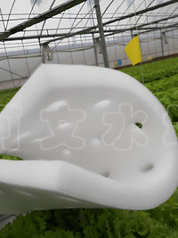Hydroponic Floating Raft System for Soilless Vegetable Cultivation
