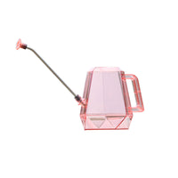 Stainless Steel Long Spout Watering Can for Indoor Plants & Garden, 1.2L Octagonal Design
