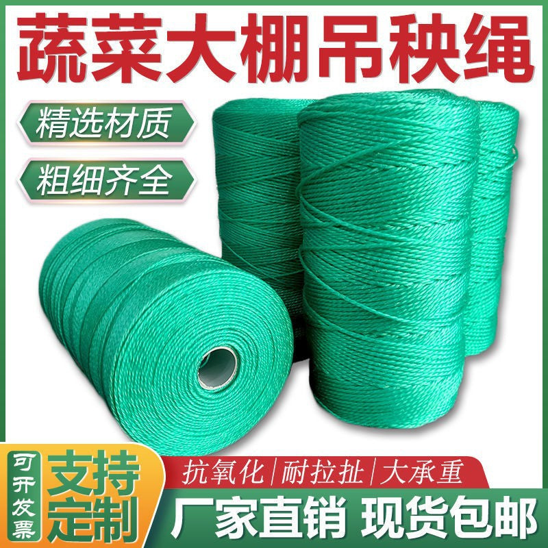 Agricultural Greenhouse Anti-Aging Plant Support Rope for Vine Crops