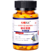 Pet Nitrifying Bacteria Capsules for Aquarium Water Purification and Stabilization