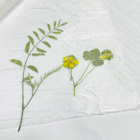 Japanese Washi Paper - Ultra-Thin Fiber Art Paper for Embossing and Backgrounds (Single Sheet)
