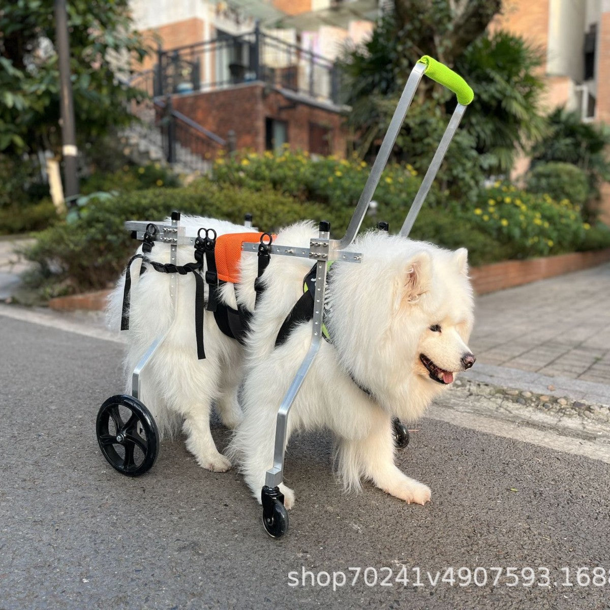 Four-Wheel Pet Wheelchair for Disabled Senior Dogs - Labrador, Alaskan Malamute, Golden Retriever