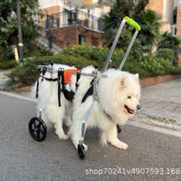 Four-Wheel Pet Wheelchair for Disabled Senior Dogs - Labrador, Alaskan Malamute, Golden Retriever