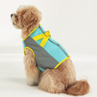 Pet Dog Cooling Vest for Summer Outdoor Heat Relief, Breathable Mesh Absorbent Cooling Vest for Small to Medium Dogs