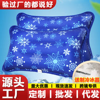 Cooling Gel Pillow for Summer Relief - Water-Filled Ice Pad for Humans and Pets
