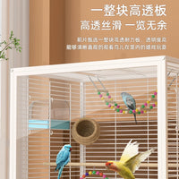 Large Transparent Splash-Proof Bird Cage for Parrots and Lovebirds with Breeding Box Option