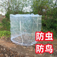 Garden Plant Insect Bird Protection Netting with Support Frame