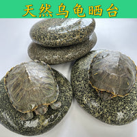 Natural Flat Pebble Turtle Basking Platform for Aquarium Terrarium, Reptile Climbing Rock, Fish Tank Decor with Hiding Cave