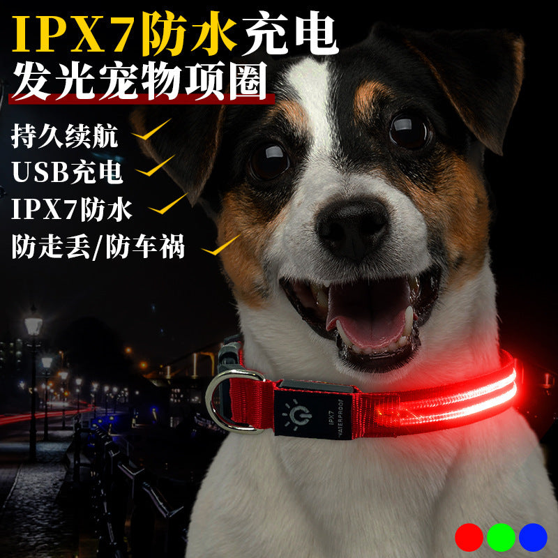 LED Light-Up Dog Collar USB Rechargeable Waterproof for Night Safety