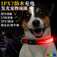 LED Light-Up Dog Collar USB Rechargeable Waterproof for Night Safety