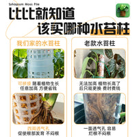 Moss Pole for Climbing Plants with Support Stakes and Ties, Thickened Anti-Toppling Plant Support for Potted Plants