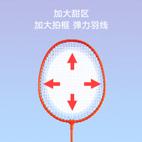 Alloy Badminton Racket Set for Kids, Durable Beginner Training Kit