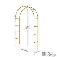 Stainless Steel Garden Arch Trellis for Climbing Plants, Roses, and Vegetables