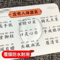 Primary School Idiom Flashcards with Pinyin and Audio for Early Education