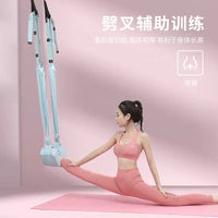 Aerial Yoga Swing Set for Home Use - Door Frame or Wall Mount - Backbend and Inversion Aid