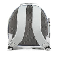 Portable Transparent Pet Carrier Backpack for Small Animals - Cats, Birds, Hamsters, Parrots, Rabbits