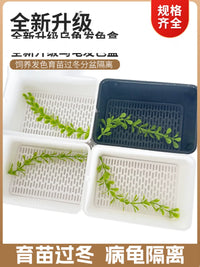 Turtle Hatching and Rearing Box Set for Aquatic Reptiles