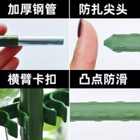 Garden Plant Support Stakes for Climbing Vines, Tomatoes, Peppers, and Eggplants