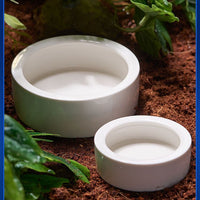 Ceramic Reptile Feeding Dish for Geckos, Lizards, and Small Pets - Escape-Proof Mealworm and Dubia Roach Bowl
