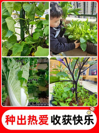 Thickened Outdoor Rectangular Plastic Planter Box for Vegetables and Flowers