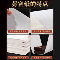 Thickened Xuan Paper for Chinese Painting and Calligraphy Practice - Raw, Half-Raw, Half-Ripe, Ripe Options