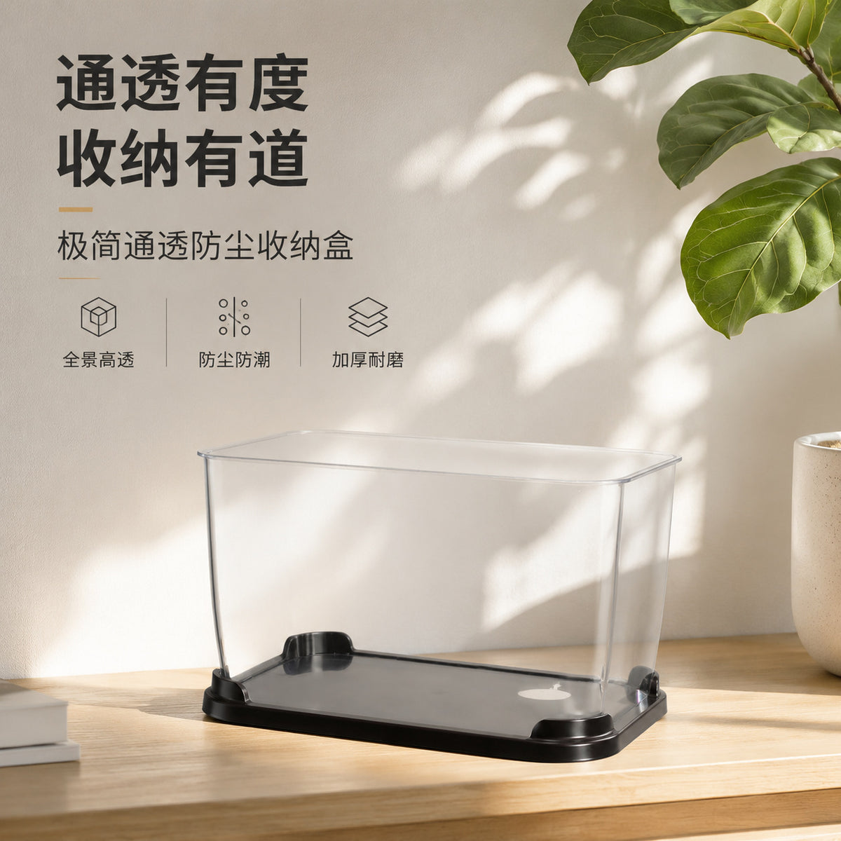 Mini Desktop Stream Aquarium with Integrated Filtration and Oxygenation