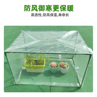 Portable Mini Greenhouse for Plants, Succulents, and Flowers - Winter Protection, Windproof, and Frost-Proof