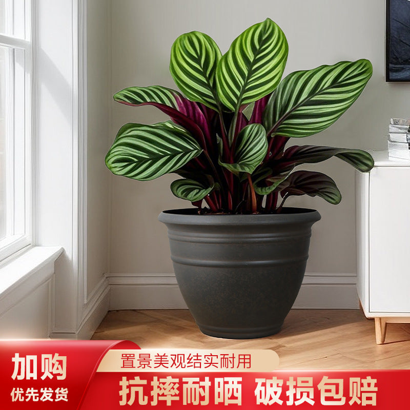 Resin Wood Grain Planter Pot for Indoor Plants