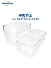High Transparency Seed Sprouting Box with Humidity Dome for Enhanced Germination