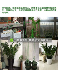 Plant Support Stakes for Climbing Plants, Potted Flowers, and Garden Vines