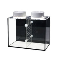 Detachable Divider Dual Compartment Ultra-Clear Glass Betta Fish Tank with Black Background