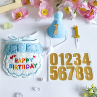 Pet Birthday Bandana and Hat Set for Cats and Dogs